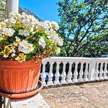 Dubrovnik Moonshine Apartman *