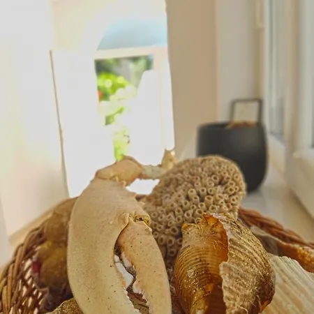 Dubrovnik Moonshine Mlini