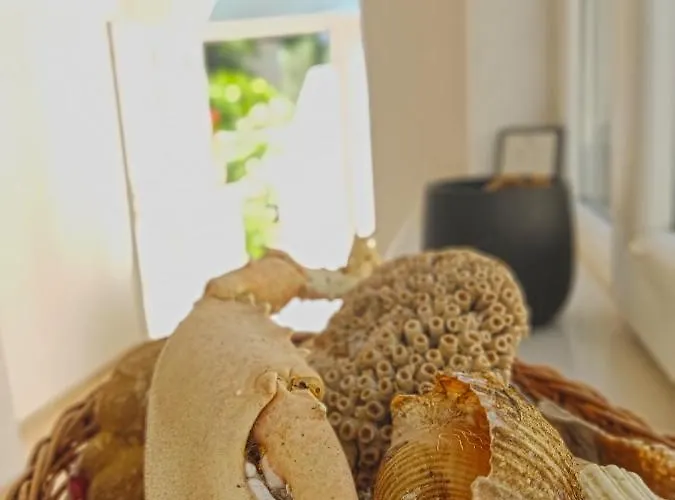 Dubrovnik Moonshine Mlini