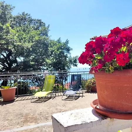 아파트 Dubrovnik Moonshine 믈리니