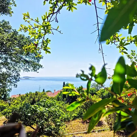 아파트 Dubrovnik Moonshine 믈리니