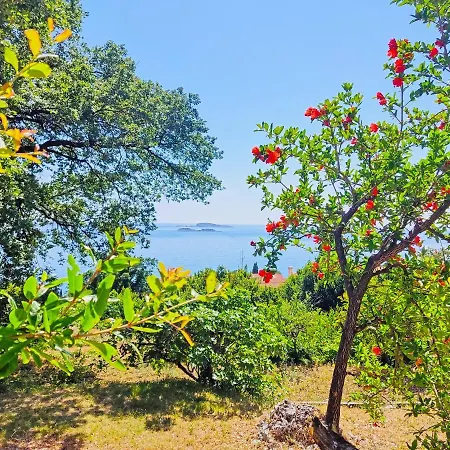 Dubrovnik Moonshine Mlini