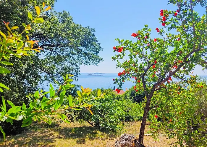 Dubrovnik Moonshine Mlini